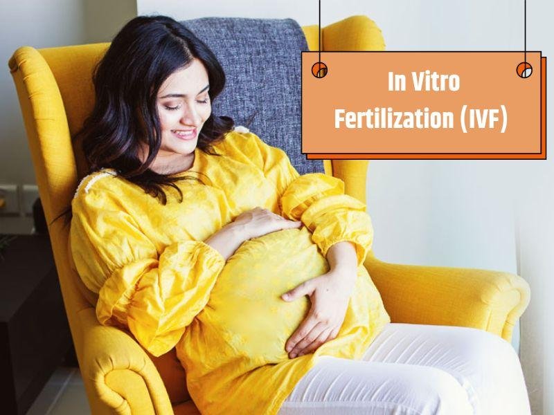 IVF Treatment: Know the Complete Procedure