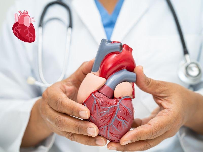 Understanding Heart Disease: Types, Causes, And Treatments